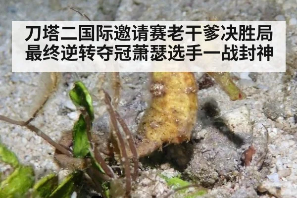 刀塔二国际邀请赛老干爹决胜局最终逆转夺冠萧瑟选手一战封神
